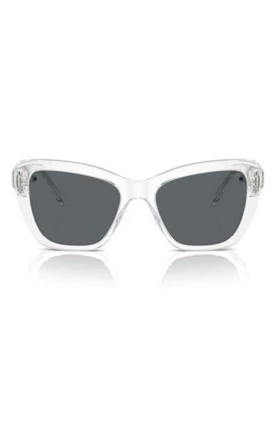 Swarovski 52mm Cat Eye Sunglasses In Neutral