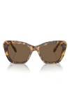 Swarovski 52mm Cat Eye Sunglasses In Dark Brown