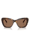 Swarovski 52mm Cat Eye Sunglasses In Havana