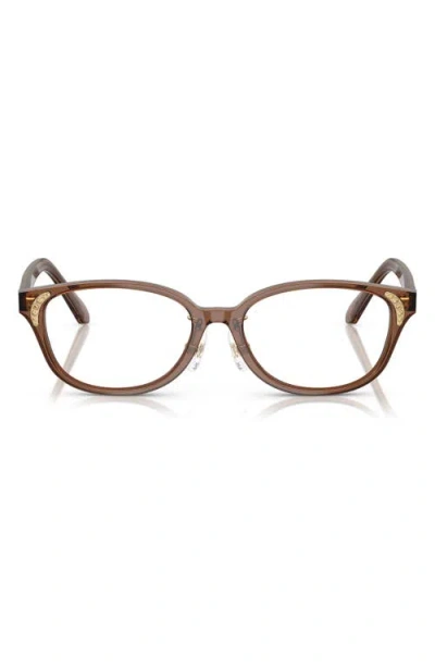 Swarovski 52mm Oval Optical Glasses In Transparent