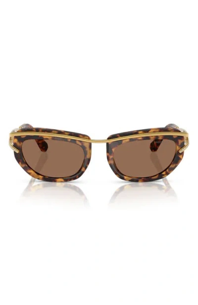 Swarovski 52mm Pillow Sunglasses In Lite Havana