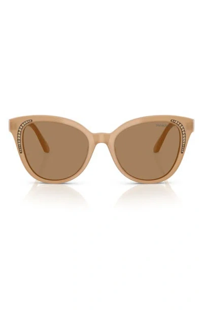 Swarovski 53mm Butterfly Sunglasses In Brown White