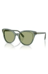 Swarovski 53mm Butterfly Sunglasses In Transparent Green/dark Green