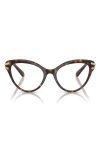 Swarovski 53mm Cat Eye Optical Glasses In Havana