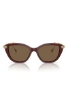 Swarovski 53mm Cat Eye Sunglasses In Dark Brown