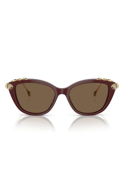 Swarovski 53mm Cat Eye Sunglasses In Dark Brown