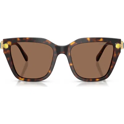 Swarovski 53mm Irregular Sunglasses In Brown