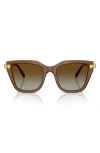 Swarovski 53mm Irregular Sunglasses In Brown