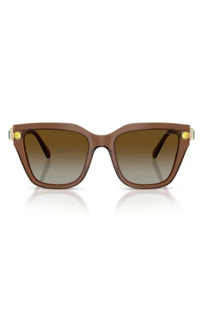 Swarovski 53mm Irregular Sunglasses In Brown
