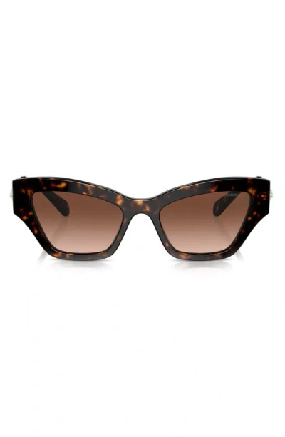 Swarovski 53mm Irregular Sunglasses In Havana