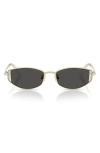 Swarovski 53mm Oval Sunglasses In Gold