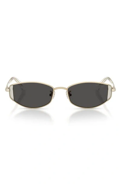 Swarovski 53mm Oval Sunglasses In Gold