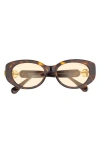 Swarovski 53mm Oval Sunglasses In Brown
