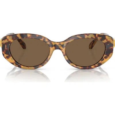 Swarovski 53mm Oval Sunglasses In Lite Havana