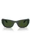 Swarovski 53mm Pillow Sunglasses In Dark Green