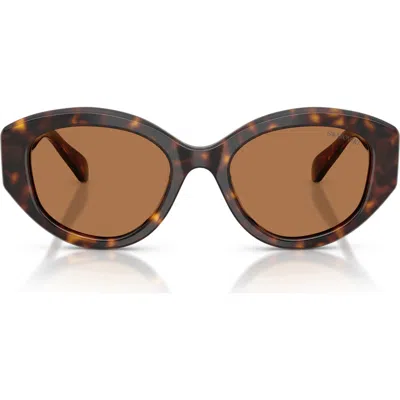 Swarovski 53mm Polarized Round Irregular Sunglasses In Brown