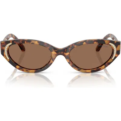 Swarovski 53mm Round Sunglasses In Brown Havana