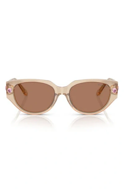 Swarovski 54mm Butterfly Sunglasses In Beige