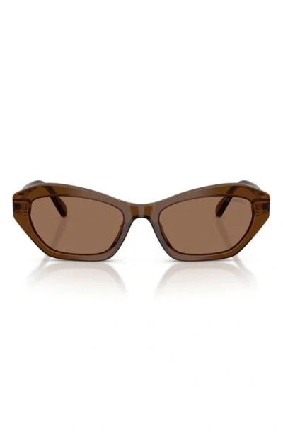 Swarovski 54mm Cat Eye Sunglasses In Brown