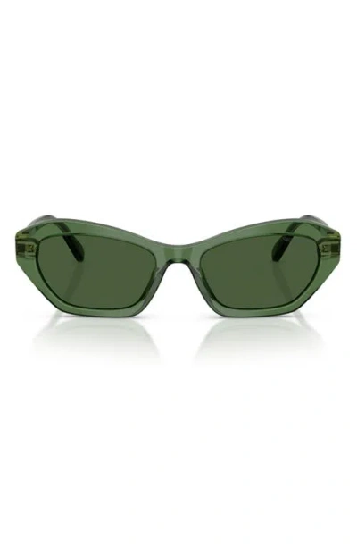 Swarovski 54mm Cat Eye Sunglasses In Green