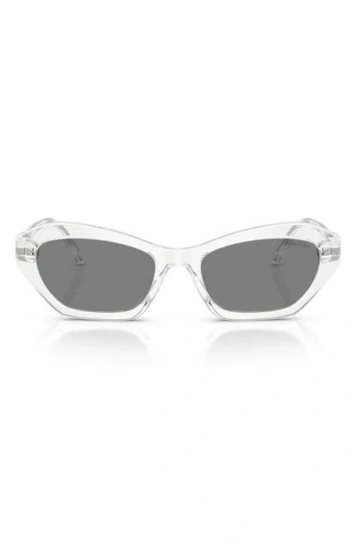 Swarovski 54mm Cat Eye Sunglasses In Transparent
