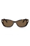 Swarovski 54mm Constella Cat Eye Sunglasses In Havana