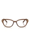 Swarovski 54mm Pillow Optical Glasses In Transparent