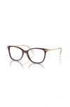 Swarovski 54mm Square Optical Glasses In Brown