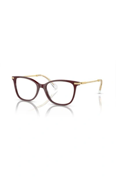 Swarovski 54mm Square Optical Glasses In Brown
