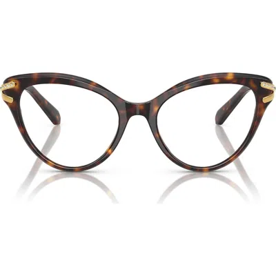Swarovski 55mm Cat Eye Optical Glasses In Brown
