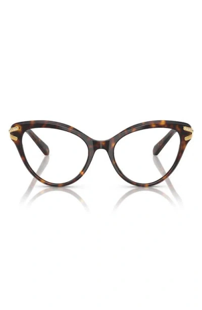 Swarovski 55mm Cat Eye Optical Glasses In Havana