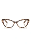 Swarovski 55mm Cat Eye Optical Glasses In Lite Havana