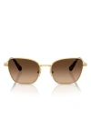 Swarovski 55mm Gradient Pilot Sunglasses In Gold/brown
