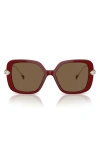Swarovski Crystal-embellished Butterfly-frame Sunglasses In Dark Brown