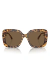 Swarovski 55mm Square Sunglasses In Lite Havana