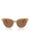 Swarovski 56mm Cat Eye Sunglasses In Multi