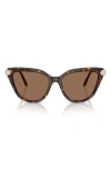 Swarovski Sk6038 Cat-eye Embellished Sunglasses In Havana/dark Brown