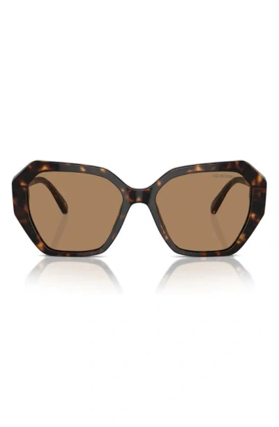 Swarovski 56mm Constella Round Sunglasses In Dark Havana