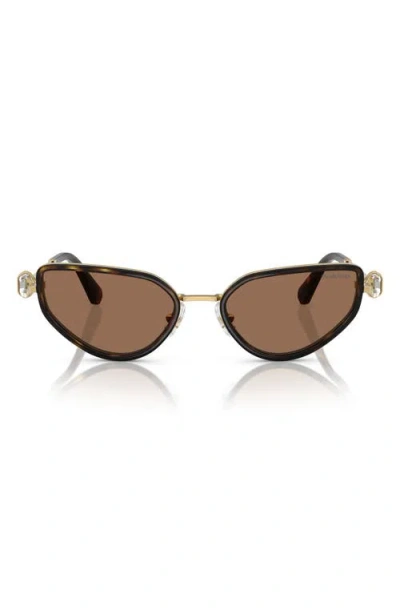 Swarovski 56mm Irregular Sunglasses In Black/gold Havana