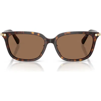 Swarovski 56mm Pillow Sunglasses In Brown