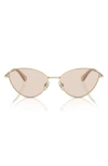 Swarovski Woman Sunglass Sk7014 In Pale Gold