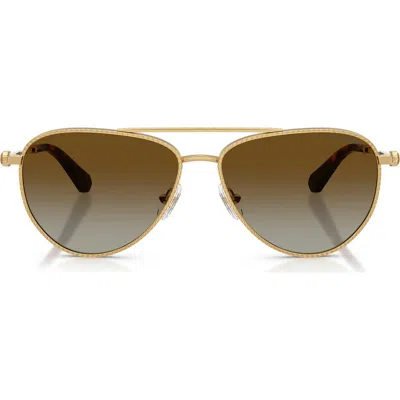Swarovski 59mm Crystal Embellished Gradient Polarized Pilot Sunglasses In Brown