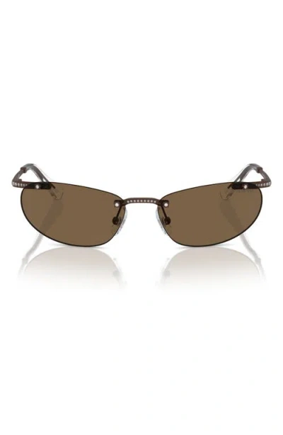 Swarovski 59mm Oval Sunglasses In Matte Brown