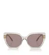Swarovski Acetate Sk6016 Sunglasses In Green