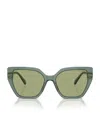 Swarovski Acetate Sk6016 Sunglasses In Green