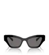 Swarovski Acetate Sk6021 Sunglasses In Black