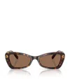 Swarovski Acetate Sk6033 Sunglasses In Brown