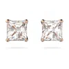 Swarovski Attract Stud Earrings In White