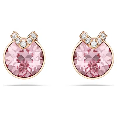 Swarovski Bella Stud Earrings In Pink