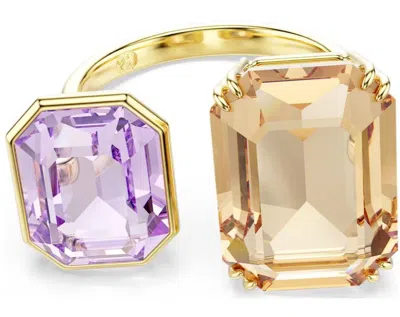 SWAROVSKI SWAROVSKI BIJOUX